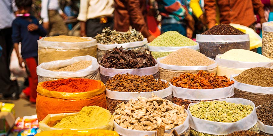 Discovering India’s cities in rickshaws and tuk tuks