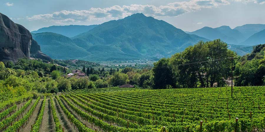 Tasting wines at a Nemea winery