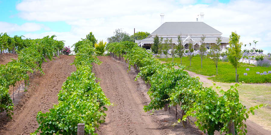 Savouring fine wines at renowned Barossa Valley vineyards