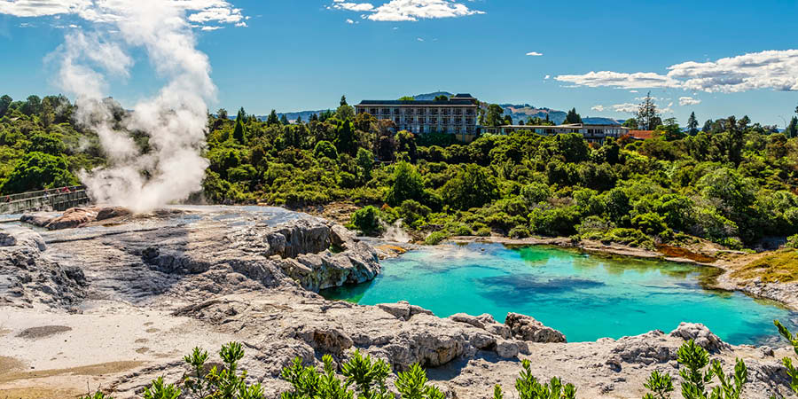 Exploring the Whakarewarewa Thermal Valley